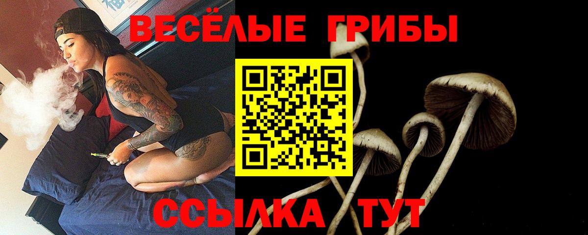 Галлюциногенные грибы ЛСД Кинель
