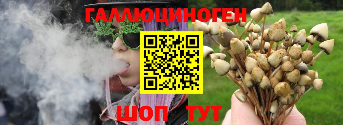 магазин    Вход с VPN  Кинель  Псилоцибиновые грибы Cubensis  Галлюциногенные грибы MAGIC MUSHROOMS 
